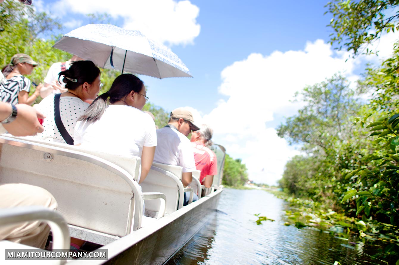 Everglades tour thought the swamp