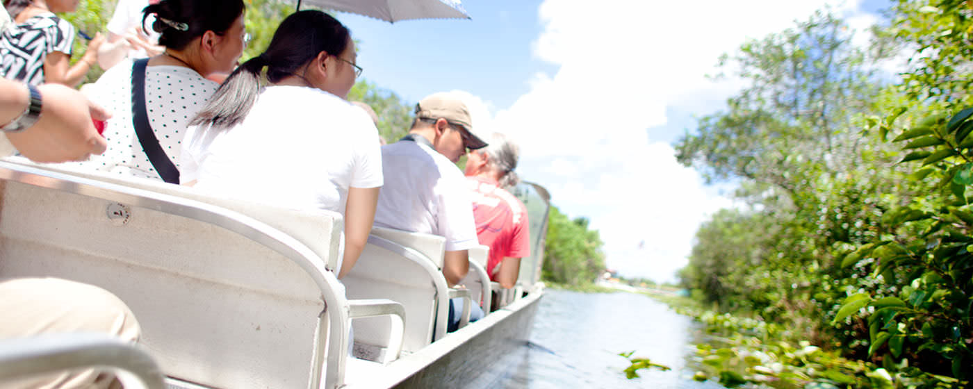 Everglades tour thought the swamp