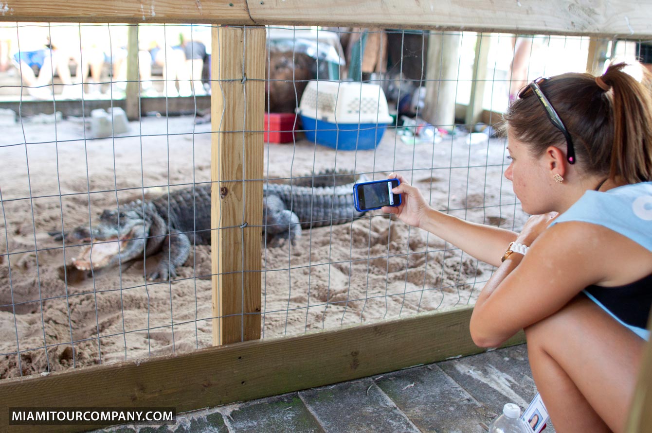 Taking a picture of a big aligator