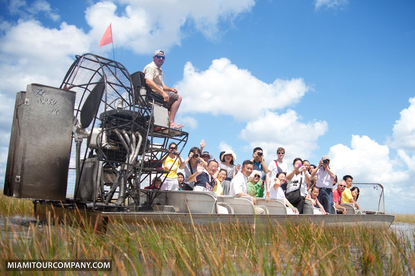 Miami grupo de turistas Everglades