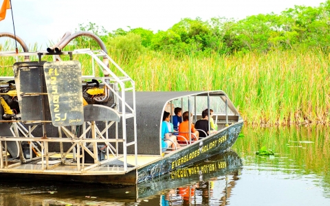 🐊 Abenteuer in Everglades mit der ⛴️ Bootsrundfahrt durch Miami (Zwei-in-Eins)
