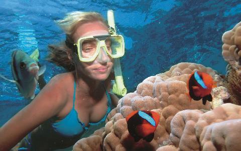 😎 Snorkeling a Key West da Miami
