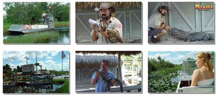 Photos von der Everglades Tour