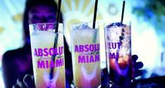 Alcohol Laws in Miami